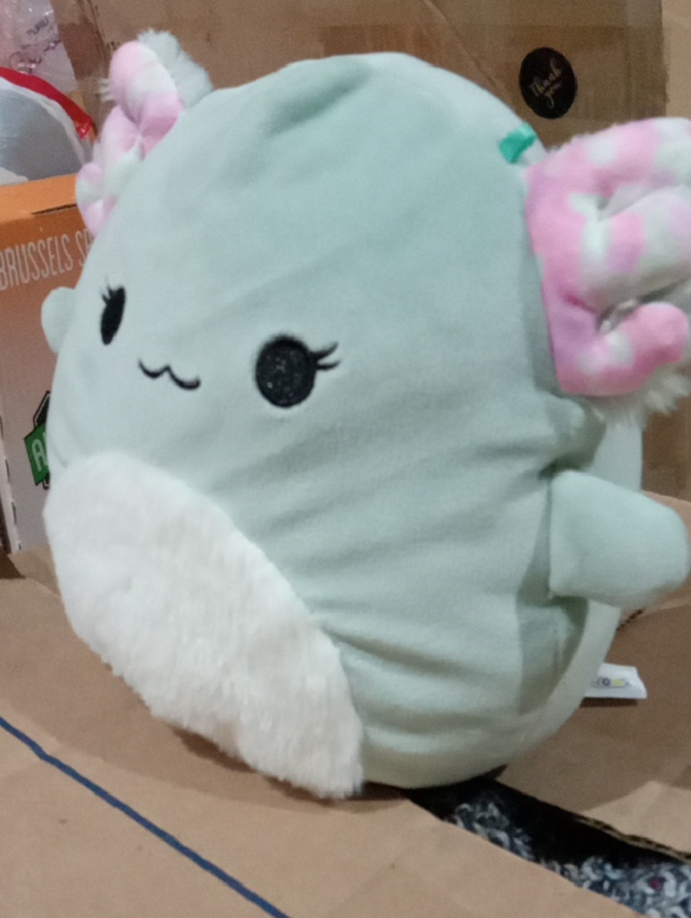 Axolotl 5in Squishmallows